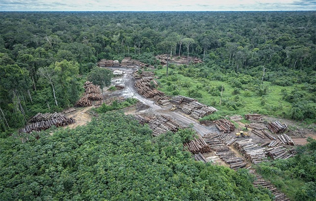 Amazônia tem 2º trimestre com maior desmate desde 2016