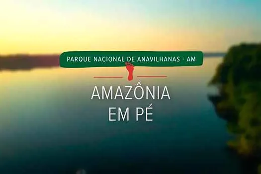 Com 400 ilhas, segundo maior arquipélago fluvial do mundo é retratado em websérie