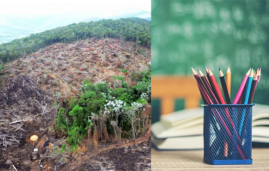 Amazônia e ensino dividirão R$ 2