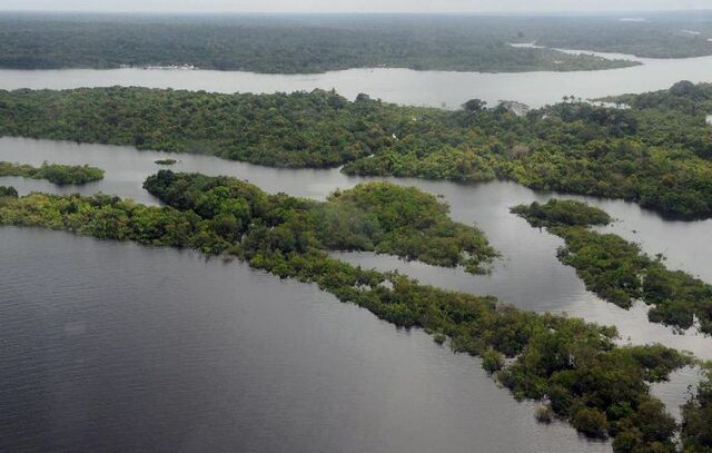 Amazônia em pé vale sete vezes mais