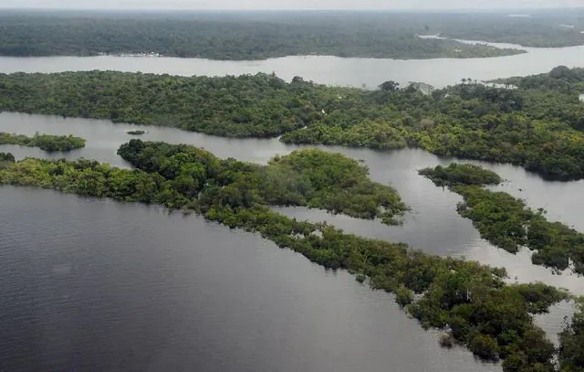 Alertas de desmatamento na Amazônia caem 66% em agosto