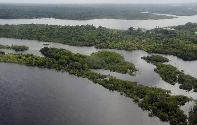 Após intensificação da fiscalização, desmatamento na Amazônia caiu 22,3% em 2023 (Imagem: Valter Campanato/Agência Brasil)