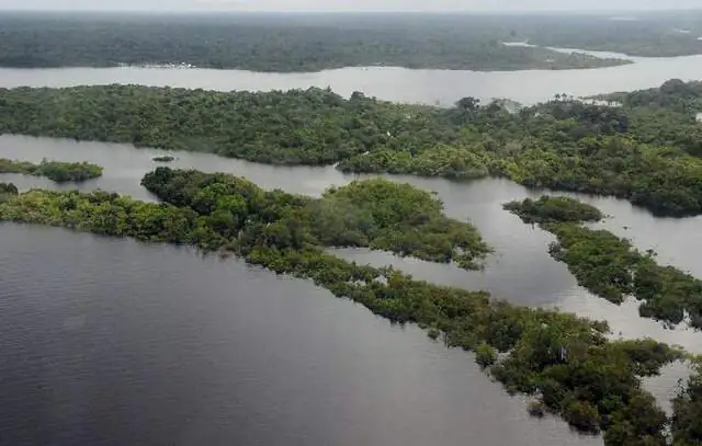 Cúpula da Amazônia começa nesta terça-feira (8)