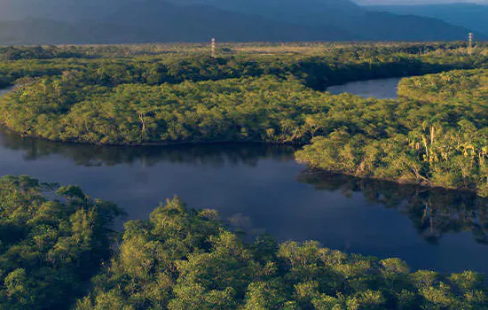 Ministro do STF realizará debate online e gratuito sobre como salvar a Amazônia