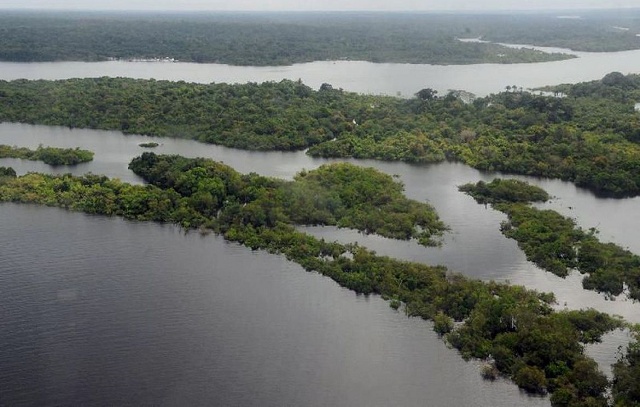 Amazônia e Cerrado batem recorde de alertas de desmatamento