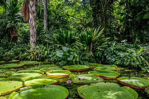 Fundação Grupo Boticário vai apoiar soluções inovadoras para o turismo em áreas naturais