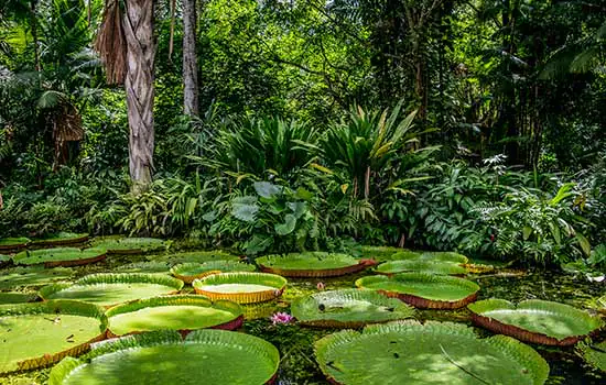 Fundação Grupo Boticário vai apoiar soluções inovadoras para o turismo em áreas naturais