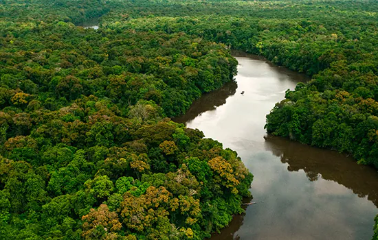 Amazônia precisa ter política de inclusão social e econômica