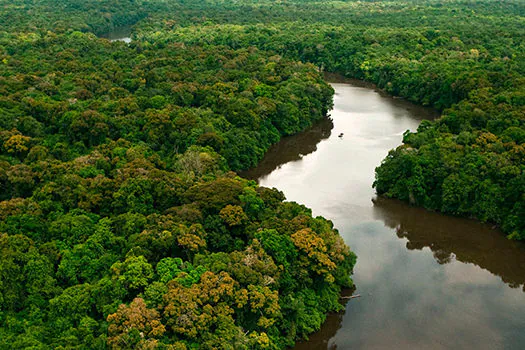 AGU prorroga força-tarefa em defesa da Amazônia por mais seis meses