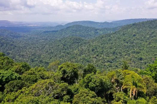 Amazônia: redução da pobreza e do desmatamento podem coexistir