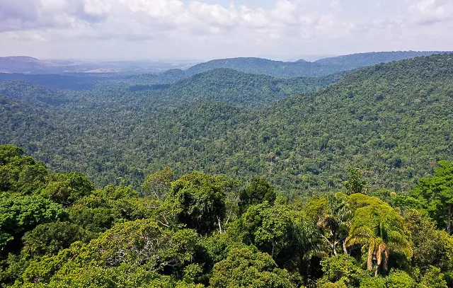 Amazônia: redução da pobreza e do desmatamento podem coexistir