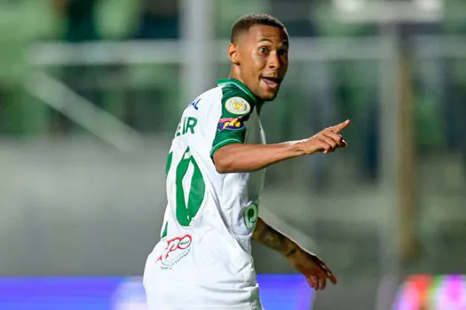 Palmeiras foi derrotado por 2 a 1 pelo América-MG