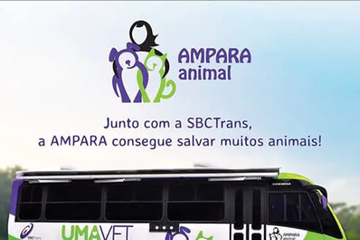 SBCTrans, em parceria com a AMPARA Animal, auxilia 10 mil animais por mês