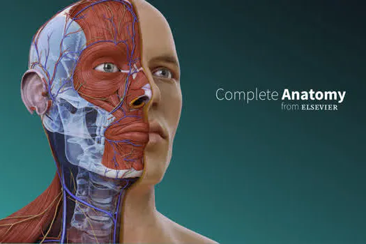 FMABC contrata plataforma 3D para estudo da anatomia humana