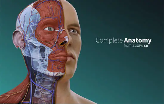 FMABC contrata plataforma 3D para estudo da anatomia humana