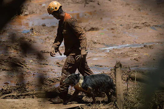 Sobe para 57 o número de animais resgatados em Brumadinho