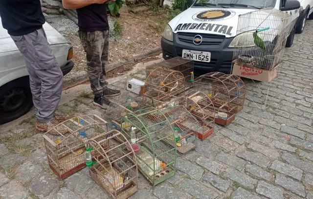 Equipe Ambiental de Ribeirão Pires resgata 15 pássaros de cativeiro ilegal