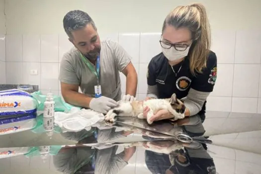 Equipe Ambiental de Ribeirão Pires ultrapassa 3 mil animais resgatados