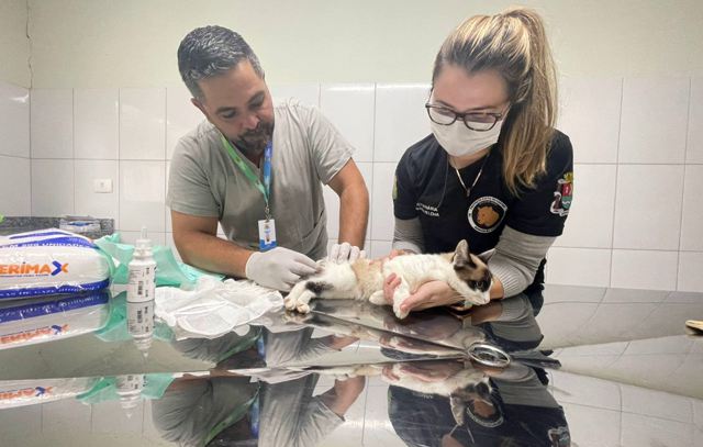 Equipe Ambiental de Ribeirão Pires ultrapassa 3 mil animais resgatados