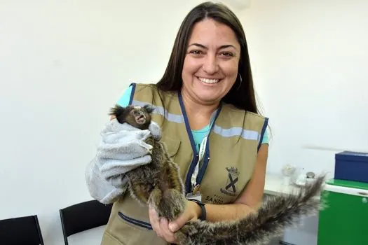 Santo André resgata 237 animais silvestres nos primeiros dez meses do ano