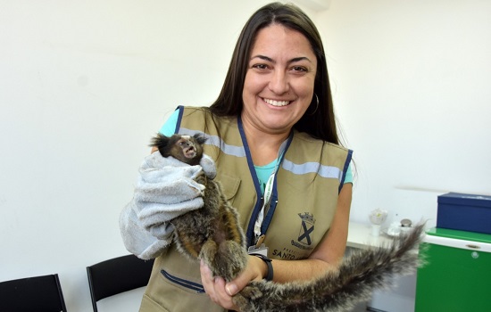 Santo André resgata 237 animais silvestres nos primeiros dez meses do ano