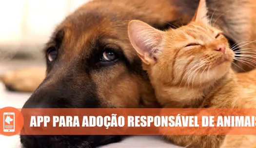 MeAuDote: facilitando doações e adoções de animais