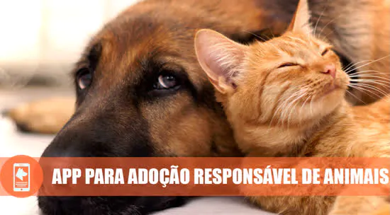 MeAuDote: facilitando doações e adoções de animais