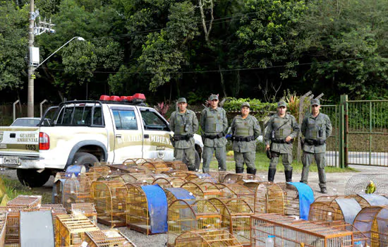 Guarda de São Bernardo resgata cerca de 80 aves vítimas de maus-tratos