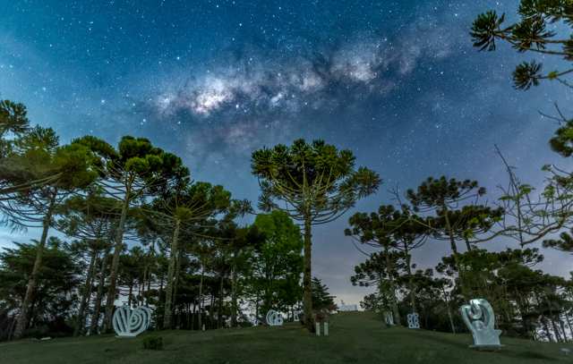 Museu Felícia Leirner lança exposição virtual “Caminhos da Via-Láctea”