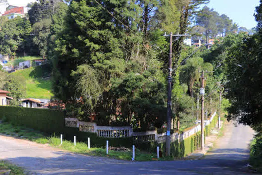 Entenda os benefícios de ter área verde em seu terreno em Ribeirão Pires