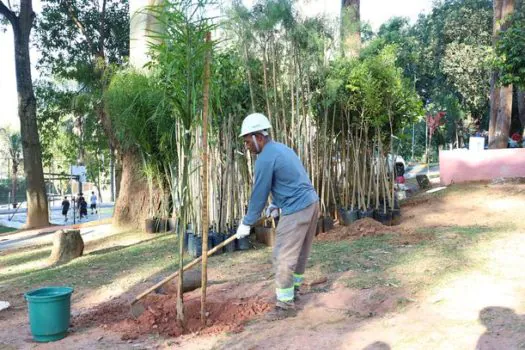 Refúgio verde de Diadema, Parque do Paço ganha 460 mudas de árvores