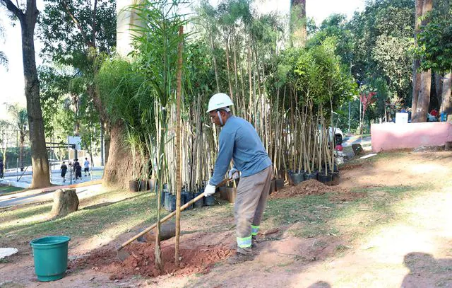 Refúgio verde de Diadema