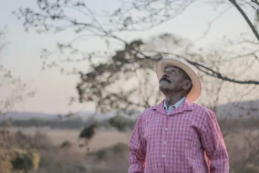 Festival de Cinema Brasileiro Fantástico realiza sua primeira edição online