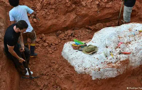 Dinossauro de pescoço longo mais antigo do mundo é descoberto no RS