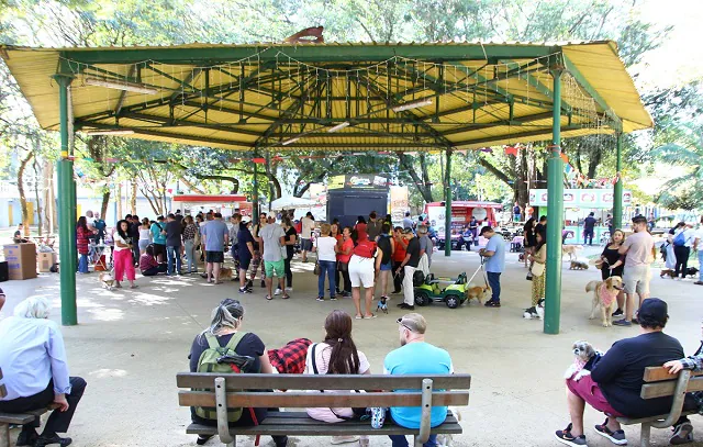 ArraiAu Pet de Santo André reúne 400 animais no Parque Celso Daniel