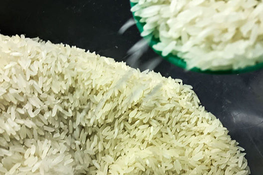 Leilão para a compra de arroz importado pela Conab será na quinta-feira (6)