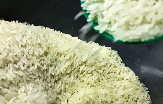 Governo define critérios para cota de importação de arroz_x000D_