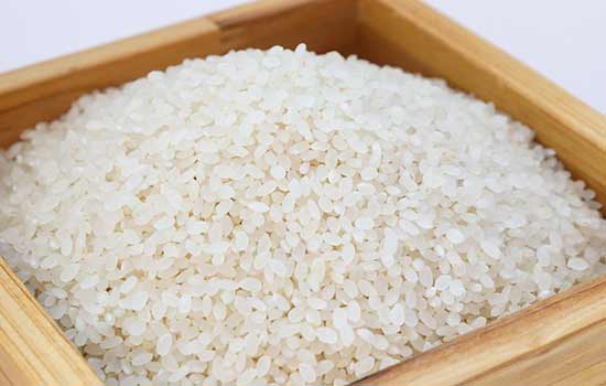 Dupla arroz e feijão é indicação de especialista para manter a saúde em dia neste novo ano
