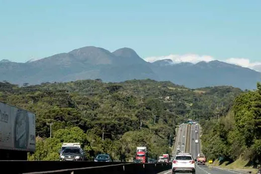 Queda de árvore mata motociclista na Régis Bittencourt, em SP