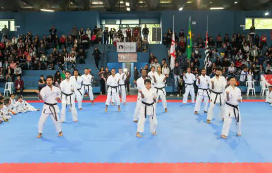 IOK promove Festival da Inclusão com participantes de oficinas de artes marciais