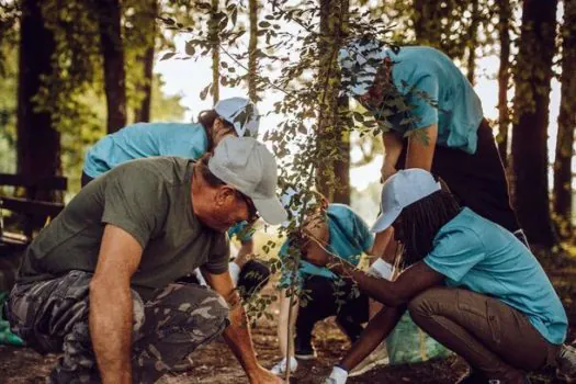 Campanha Árvore da Sorte troca sementes por plantio de árvores