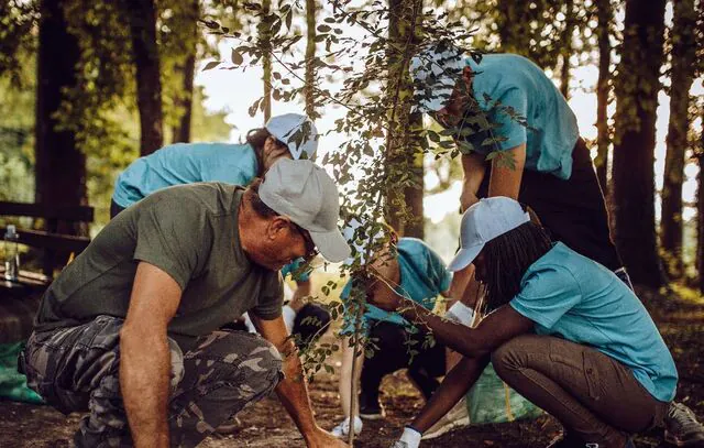 Campanha Árvore da Sorte troca sementes por plantio de árvores