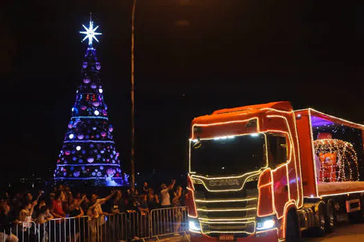 Árvore de Natal do Ibirapuera será inaugurada dia 30