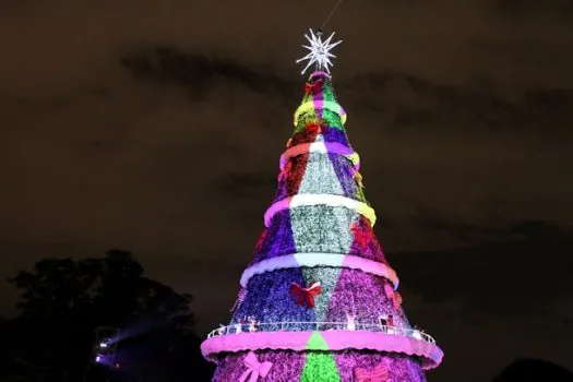 Árvore de Natal da cidade será inaugurada no Parque Ibirapuera neste sábado (3)