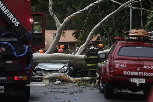 SP tem alagamentos após chuva; árvore cai sobre carro com casal e 2 crianças