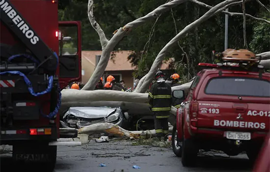 SP tem alagamentos após chuva; árvore cai sobre carro com casal e 2 crianças