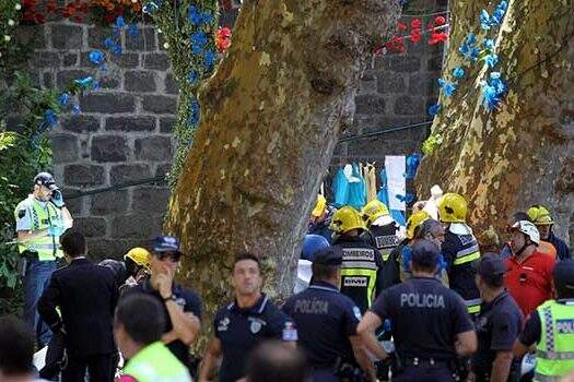 Queda de árvore na ilha da Madeira deixa ao menos 12 mortos