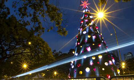 Show de Toquinho na Inauguração da Árvore de Natal do Ibirapuera