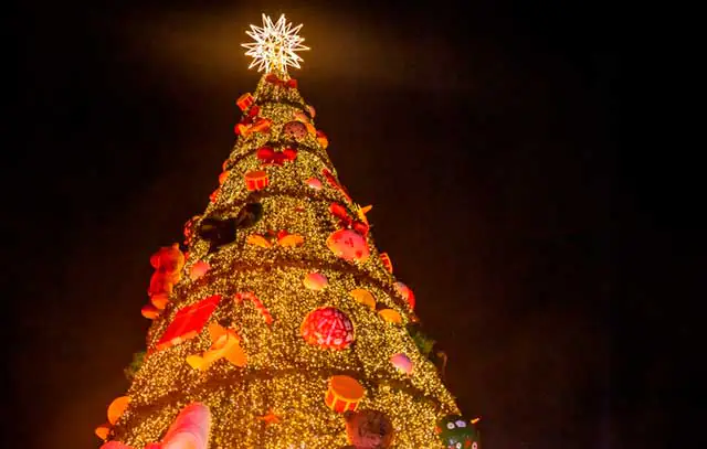 Conheça cinco lugares para ver decorações de Natal em São Paulo