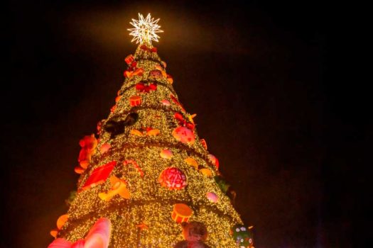 Confira dicas para uma decoração de Natal segura